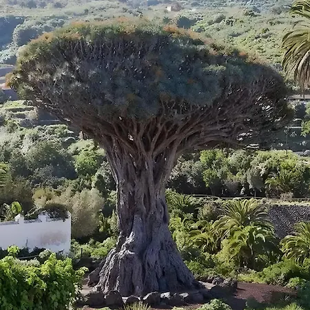 Διαμέρισμα Terraza, Centrico Pueblo + Aparcamiento Cerca *