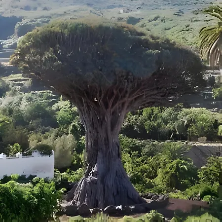 Terraza, Céntrico Pueblo Aparcamiento Cerca Appartamento Icod De Los Vinos